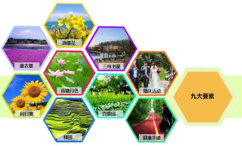荷塘月色規(guī)劃設(shè)計